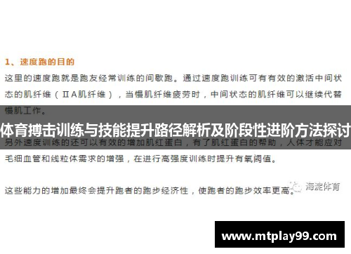 体育搏击训练与技能提升路径解析及阶段性进阶方法探讨